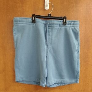 Goodfellow Men's Blue Casual Fleece Lined Shorts
